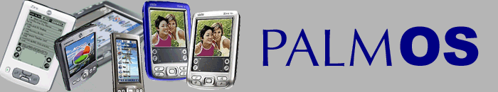 ThePalm Page logo